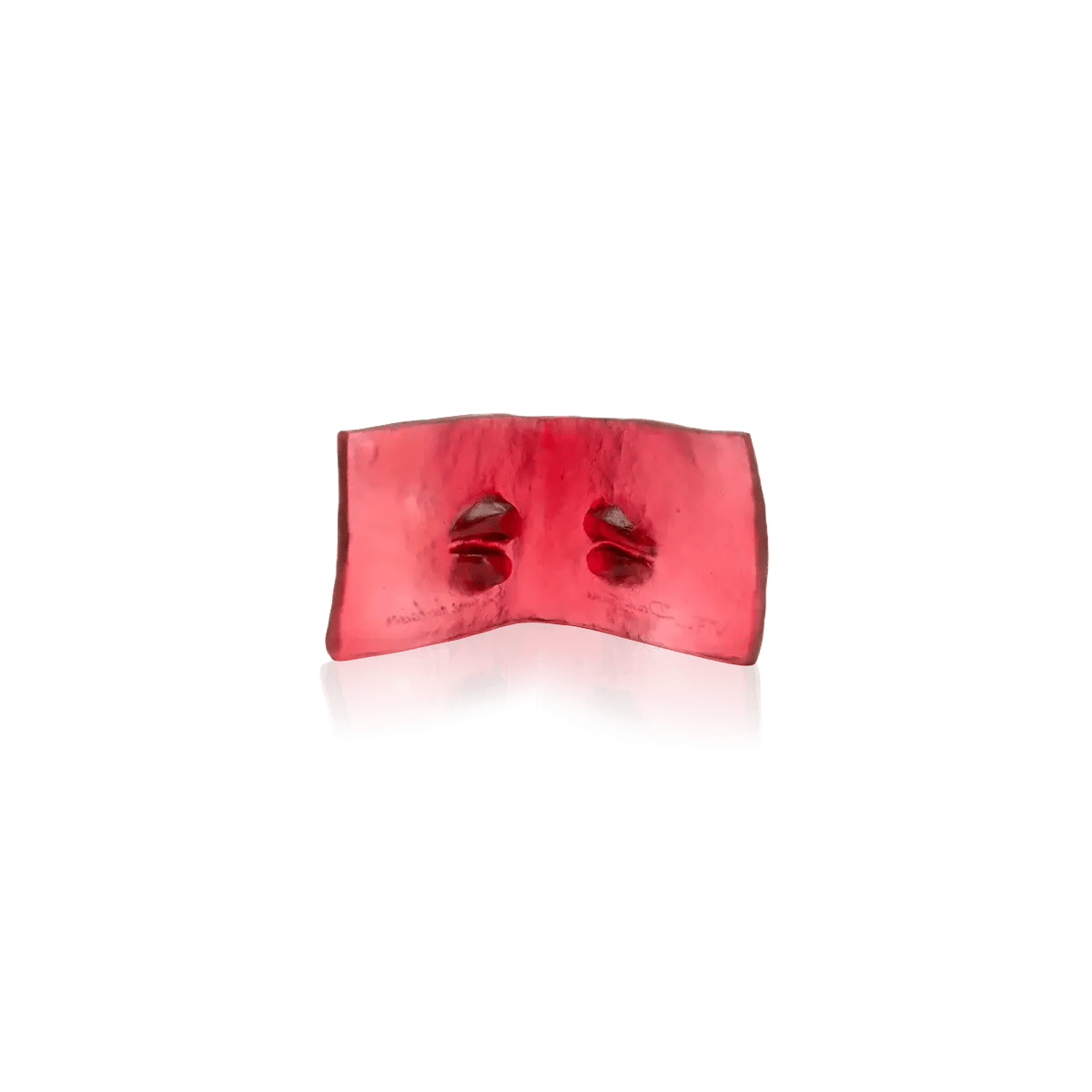 Le livre du baiser by Dominique Vial Daum