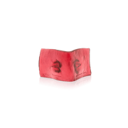 Le livre du baiser by Dominique Vial Daum