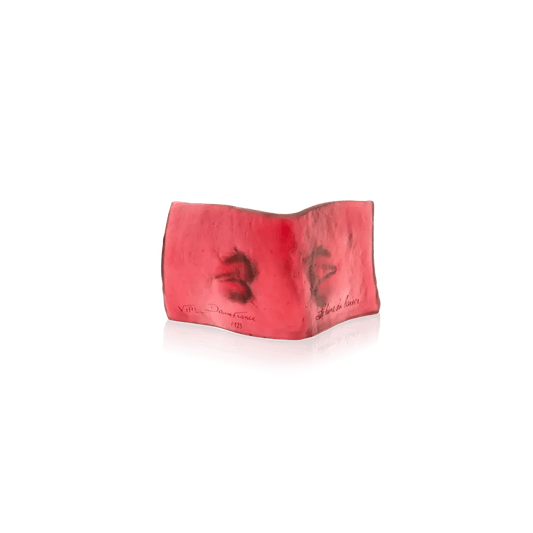 Le livre du baiser by Dominique Vial Daum