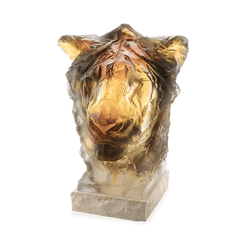 Lion Head by Patrick Villas Daum