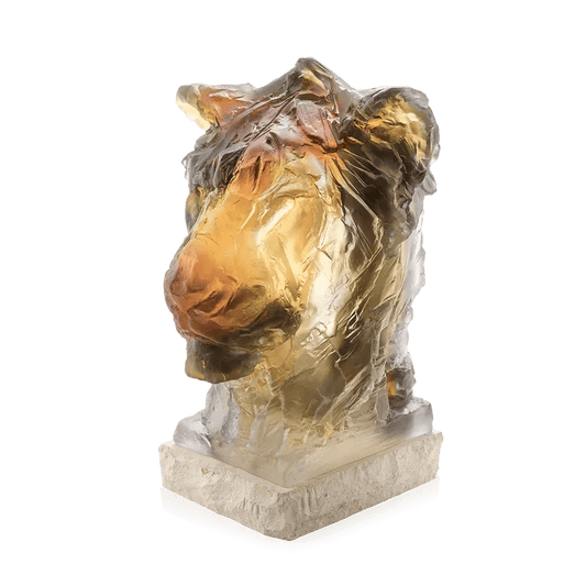 Lion Head by Patrick Villas Daum