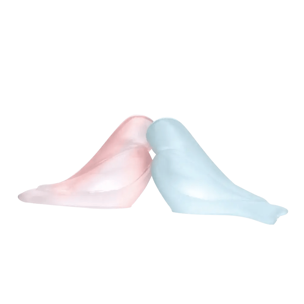 Love Birds in Blue & Pink by Pierre-Yves Rochon Daum