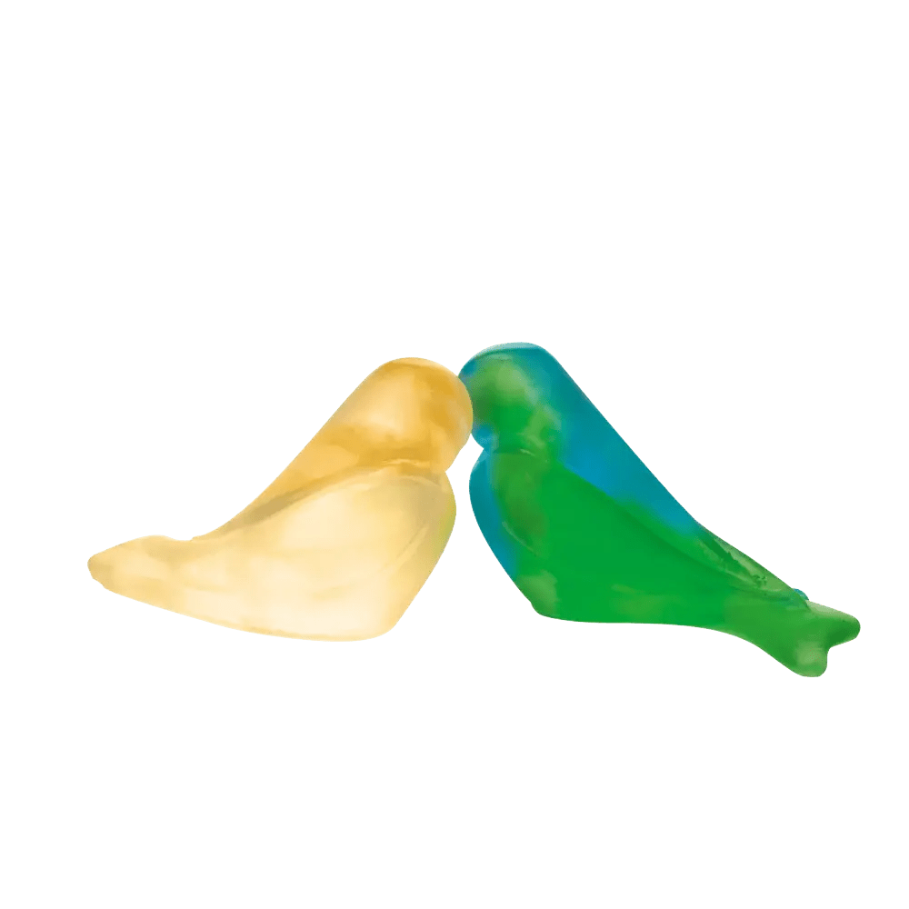 Love Birds in Green & Yellow by Pierre-Yves Rochon Daum
