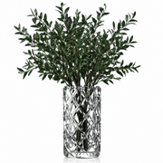 Luxury Crystal Vase - Sofiero Cylinder Orrefors - Crystal House