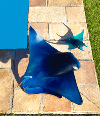 Manta Ray by Umberto Nuzzo 50 ex Daum - Crystal House