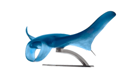 Manta Ray by Umberto Nuzzo 50 ex Daum