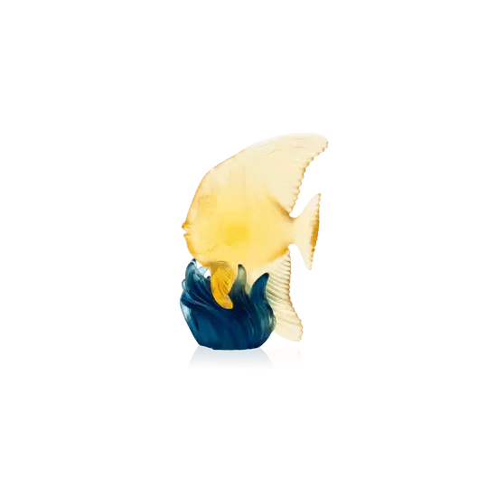 Maya Medium Yellow & Blue Platax Fish Daum