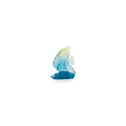 Maya Small Platax Fish Daum