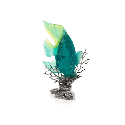 Maya Turquoise Royal Angelfish Daum