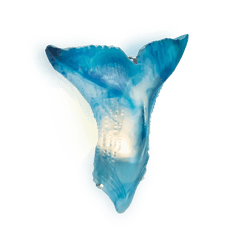 Maya Whale Wall Lamp Daum