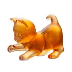 Mini Kitten in Amber Daum