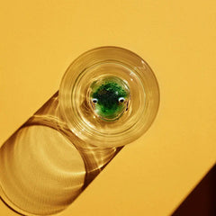 New Friends Tumbler Frog Kosta Boda