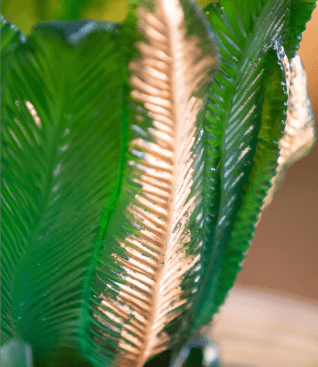 Palm Beach Medium Golden Vase Daum - Crystal House