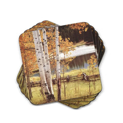 Pimpernel - Placemats / Coasters and Gifts Birch Beauty Coasters S/6 Pimpernel