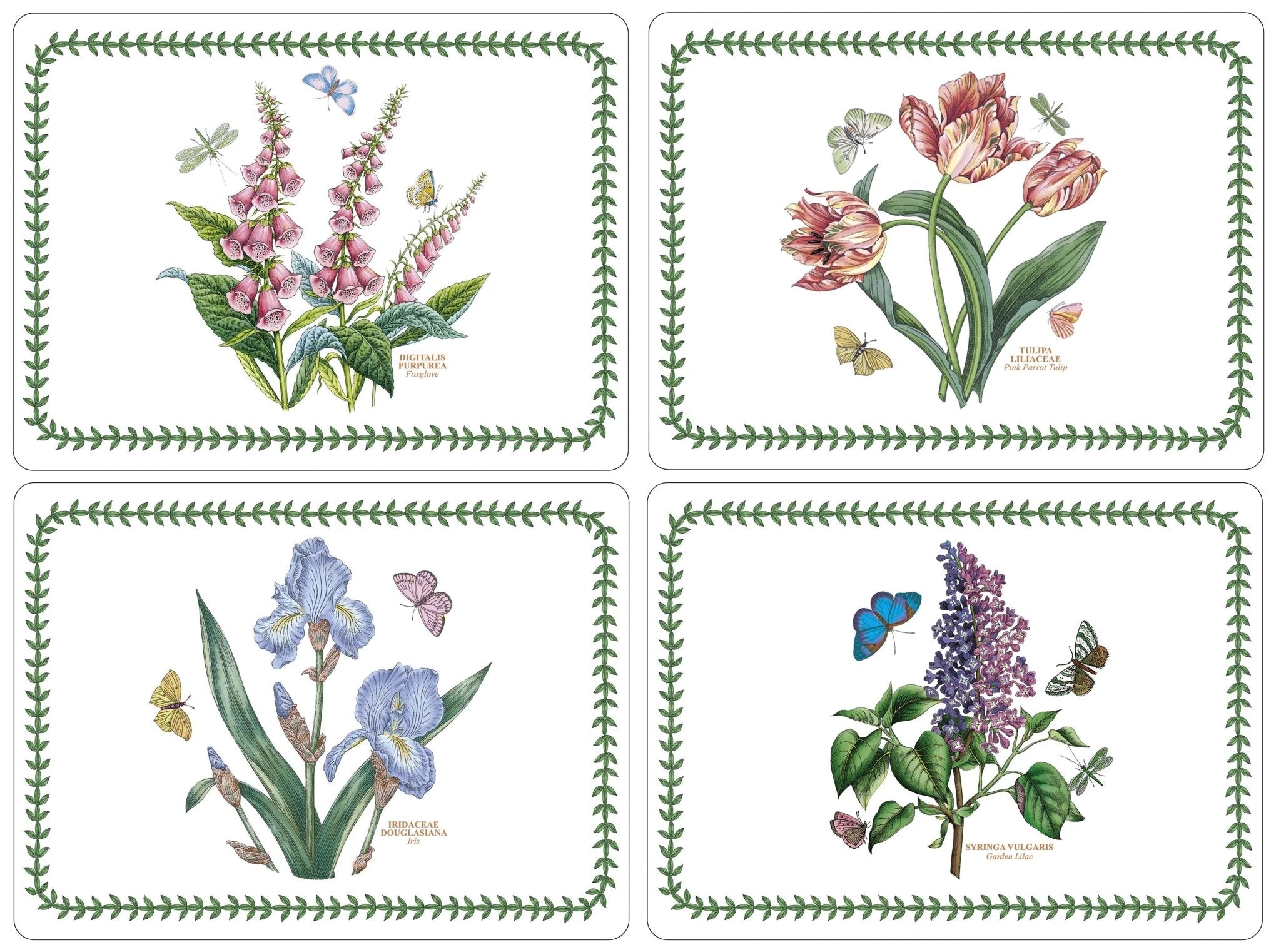 Pimpernel - Placemats / Coasters and Gifts Botanic Garden 4 Motifs Placemats S/4 Pimpernel