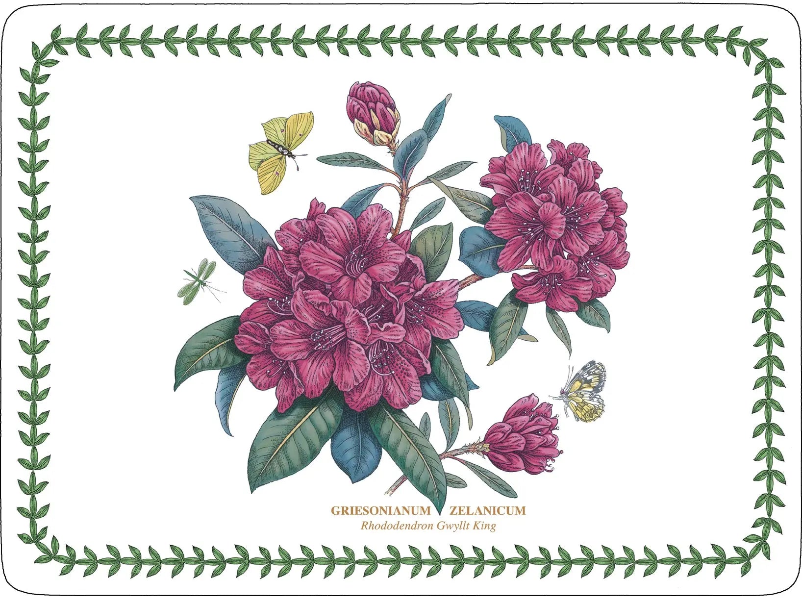 Pimpernel - Placemats / Coasters and Gifts Botanic Garden 4 Motifs Placemats S/4 Pimpernel