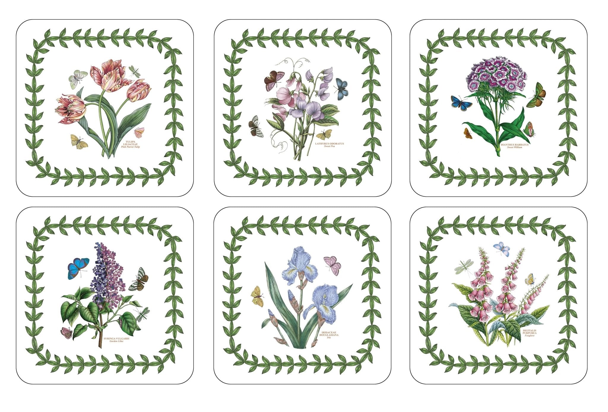 Pimpernel - Placemats / Coasters and Gifts Botanic Garden 6 Motifs Coasters S/6 Pimpernel