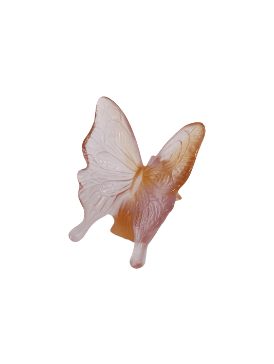 Pink & Amber Yellow Butterfly Daum