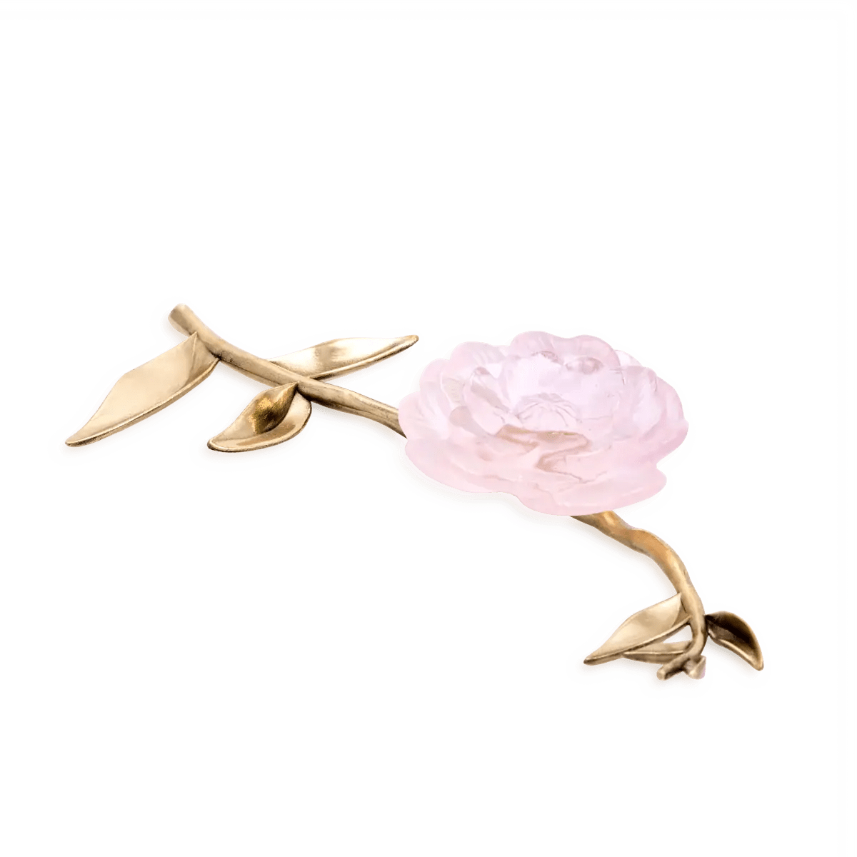 Pink Camellia Ornamental Flower Daum