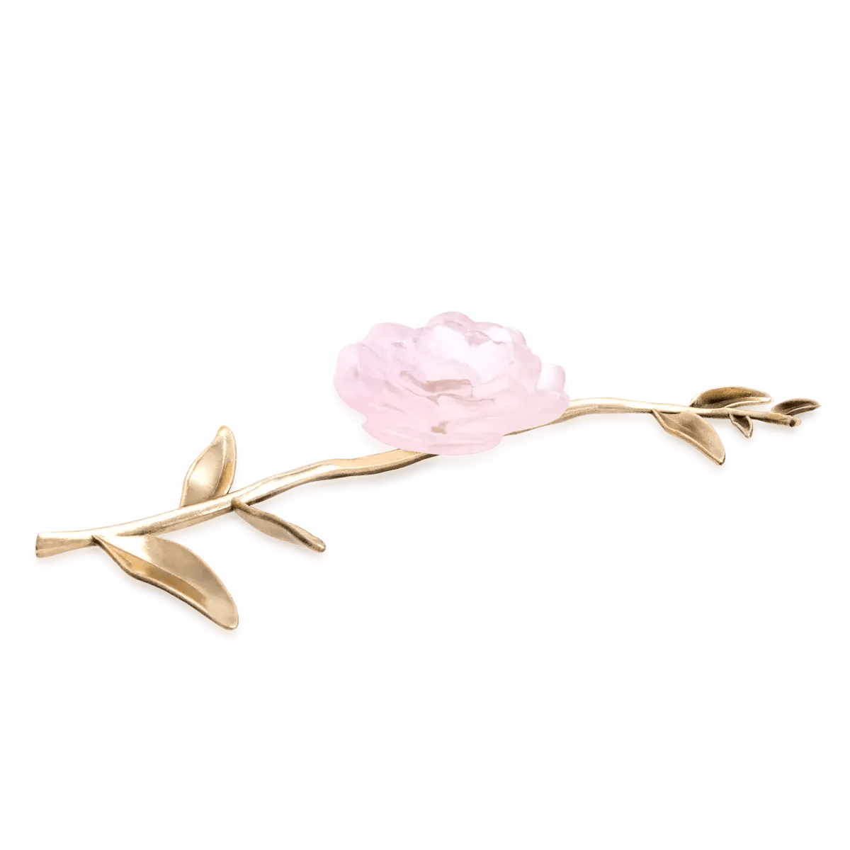 Pink Camellia Ornamental Flower Daum