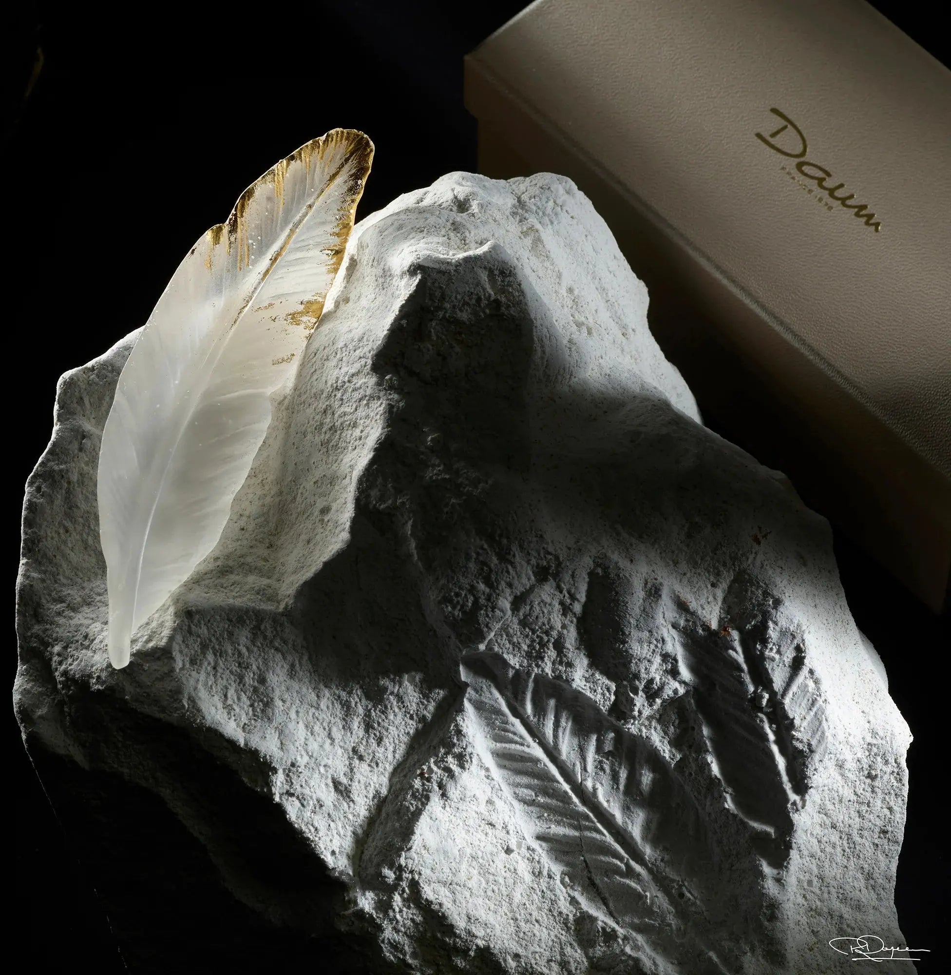 Plum'ky by PATRICK ROUGEREAU Daum