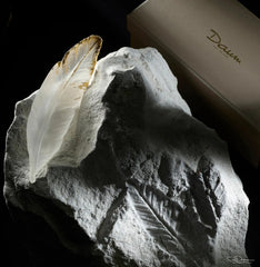 Plum'ky by PATRICK ROUGEREAU Daum