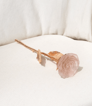 Powder Pink Rose Eternelle Daum - Crystal House