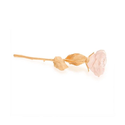 Powder Pink Rose Eternelle Daum