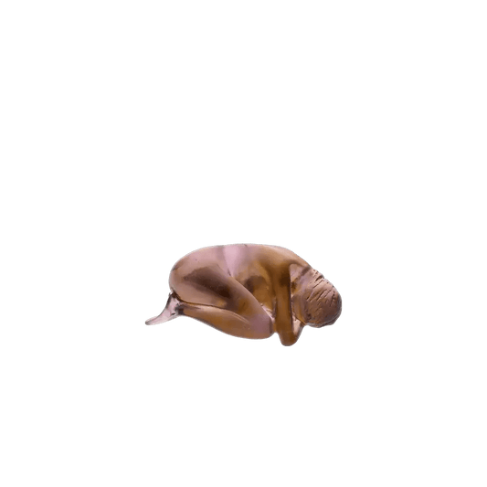 Premier Amour by Sylvie Mangaud 500 ex Daum