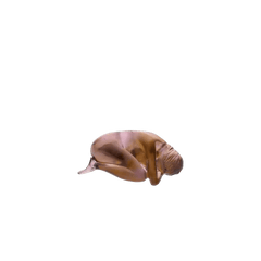 Premier Amour by Sylvie Mangaud 500 ex Daum