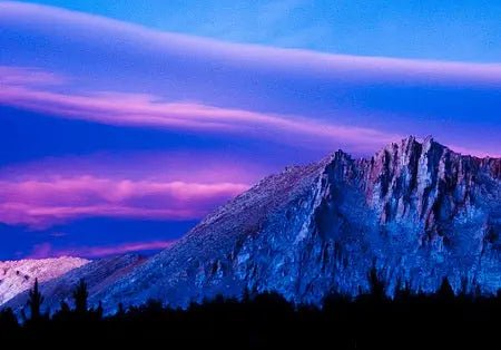 Purple Majesty Vase - 2061 Monarch Custom Glass