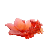 Saffron Bowl Daum - Crystal House