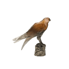 Saker Hawk by Madeleine van der Knoop 375 ex Daum