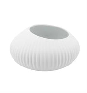 SHELL WHITE Vista Alegre