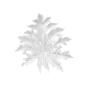 Small Long-Fixture Bornéo Wall Leaf by Emilio Robba Daum