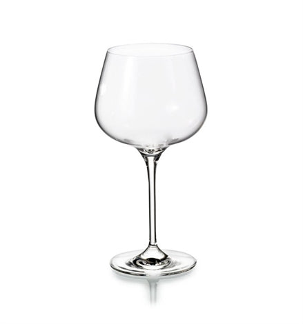 AROMA SET WITH 4 WINE GOBLETS Vista Alegre