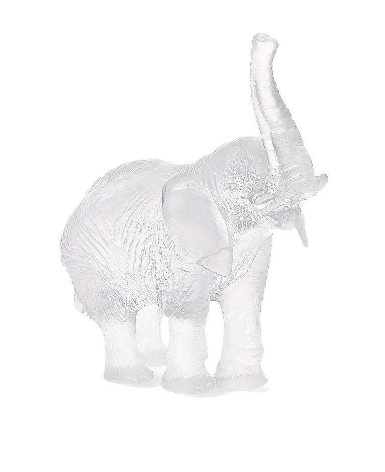 White Elephant by Jean-François Leroy Daum