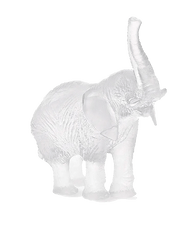 White Elephant by Jean-François Leroy Daum