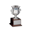 Award Cup - Silver