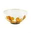 AMAZÅŒNIA Bowl Vista Alegre