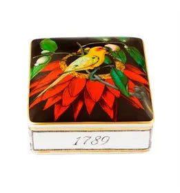 AMAZÅŒNIA CARD BOX Vista Alegre