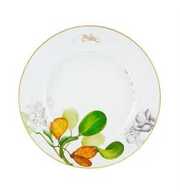 AMAZÅŒNIA PLATES Vista Alegre