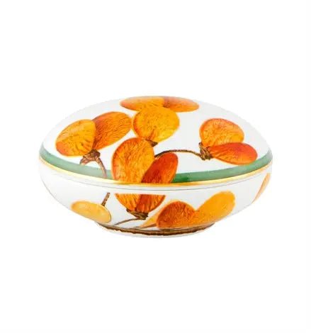 AMAZÅŒNIA ROUND BOX Vista Alegre