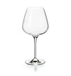 AROMA SET WITH 4 WINE GOBLETS