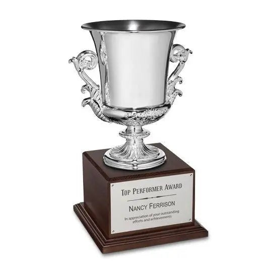 Award Cup - Silver Crystal House