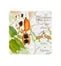 COASTERS - AMAZÅŒNIA SET 4 Vista Alegre