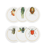 Coasters Set 6   - Insetos - Dinnerware - Vista Alegre Vista Alegre