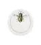 Coasters Set 6   - Insetos - Dinnerware - Vista Alegre Vista Alegre