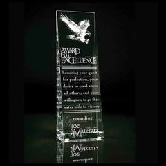 Aviator Award