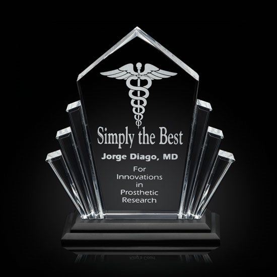 Flash Award - Acrylic Black Crystal House